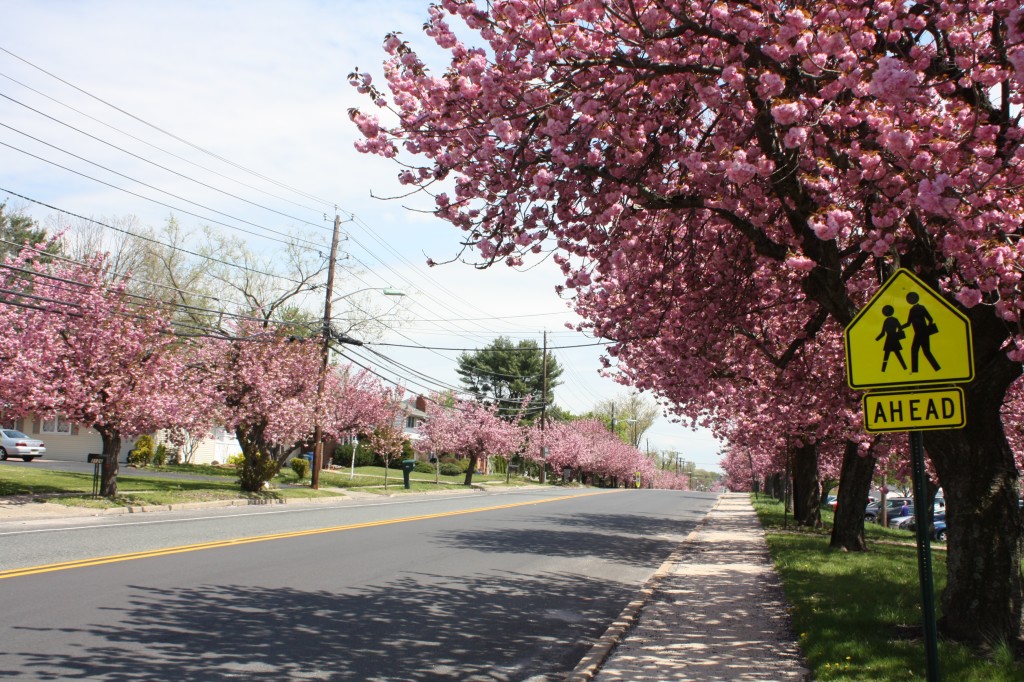 Chapel Avenue Cherry Hill NJ