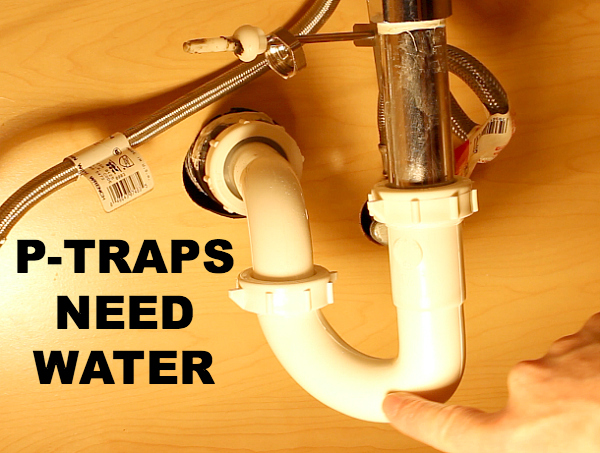 P-Traps-need-water.jpg