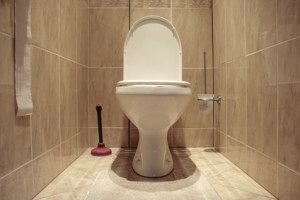 9 things you shouldn't flush down your toilet